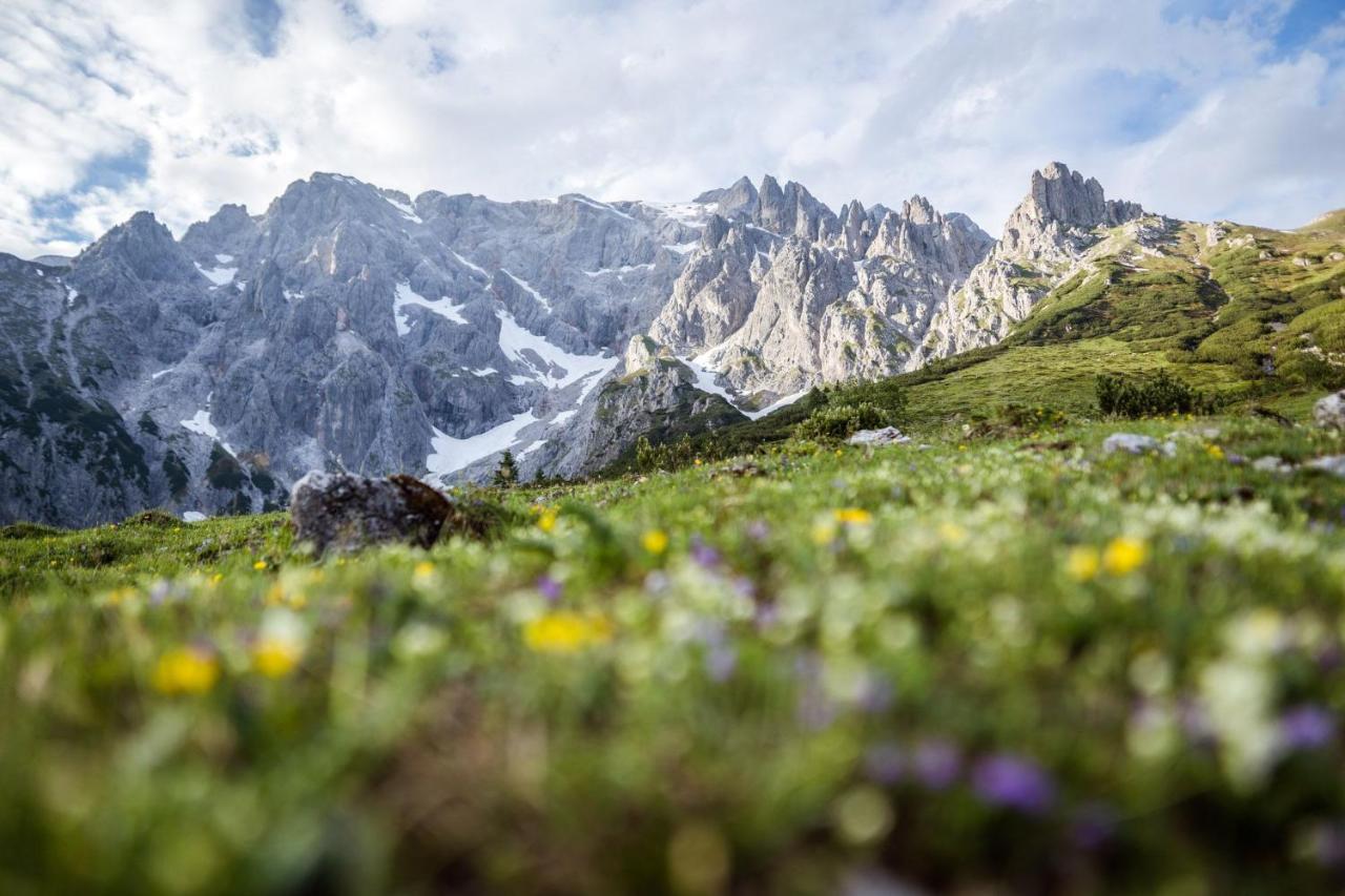 Alpenparks Hotel & Apartment Hochkoenig Mühlbach am Hochkönig エクステリア 写真