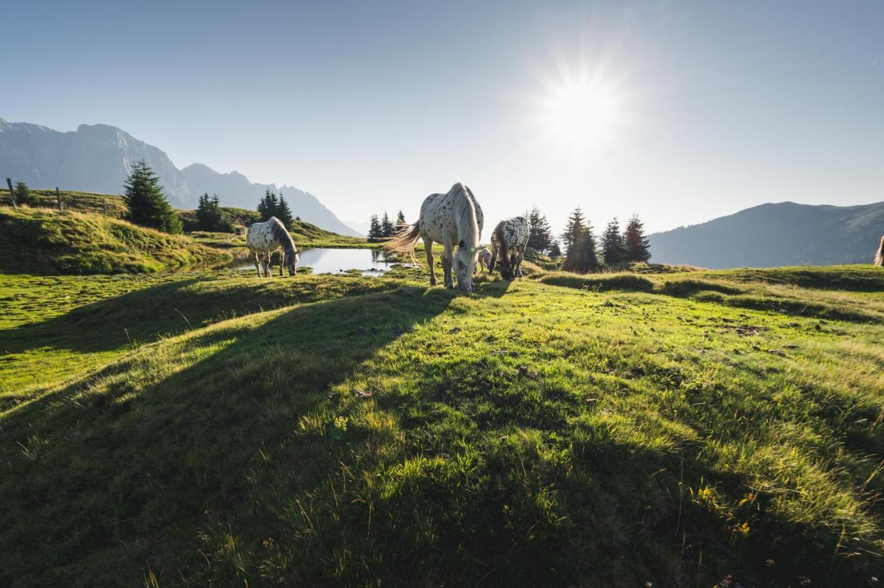 Alpenparks Hotel & Apartment Hochkoenig Mühlbach am Hochkönig エクステリア 写真